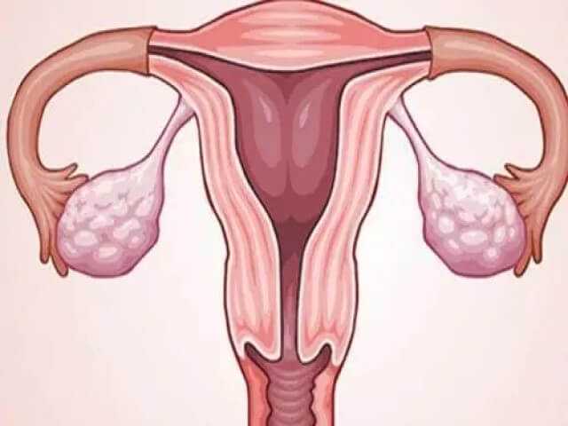 子宫内膜厚度17mm可以做胚胎移植吗，怀孕成功率高吗